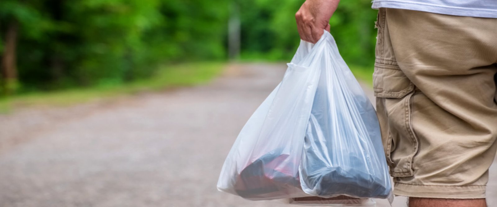 Transperent-CarryBag-Banner1920x800 Transperent-CarryBag